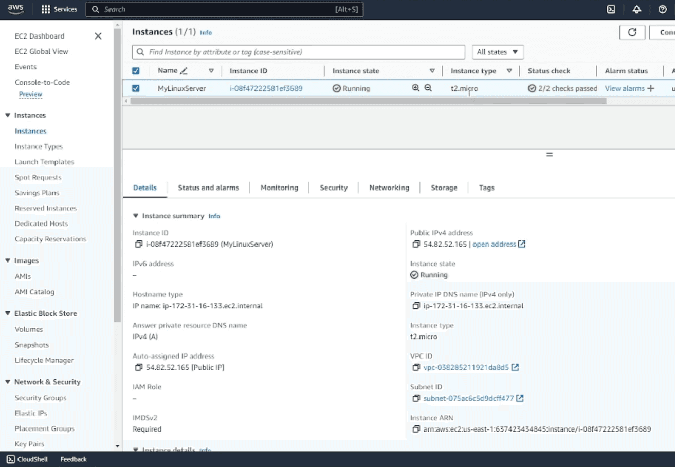 AWS Web Application