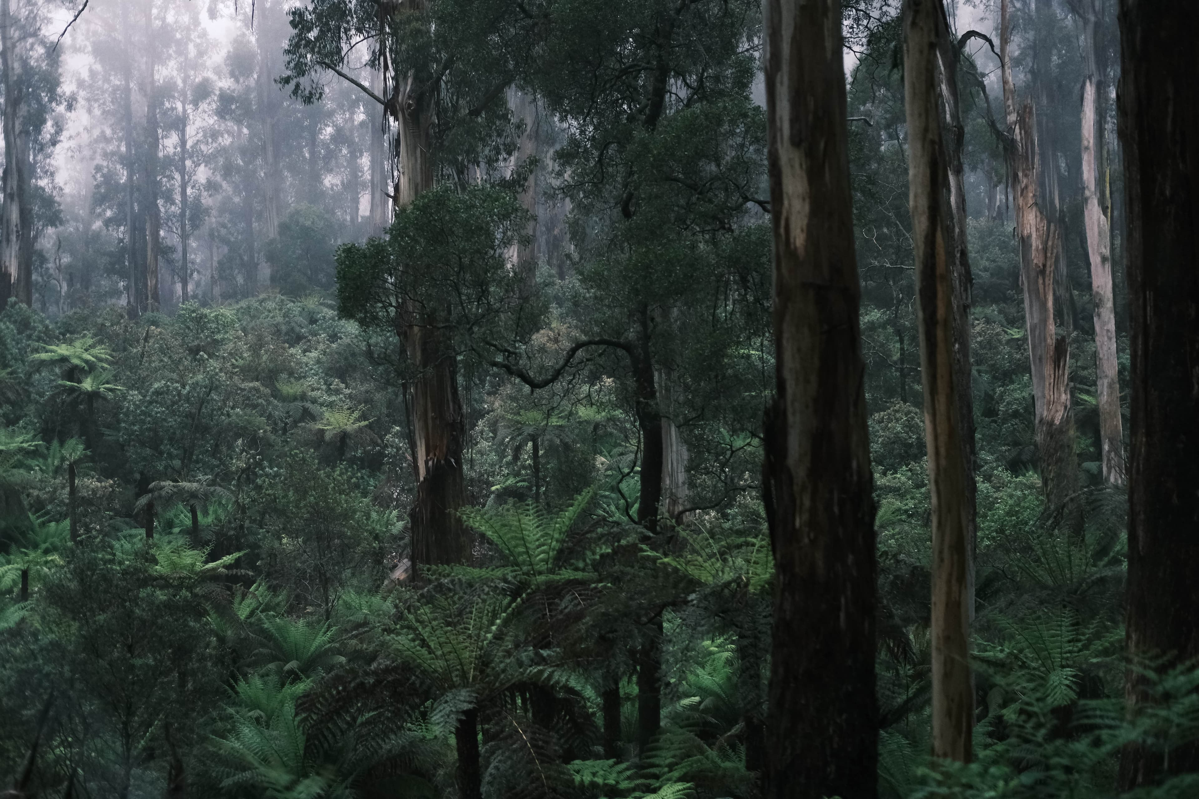 The Art of being Uncomfortable